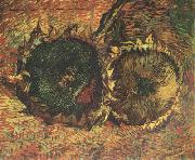 Vincent Van Gogh Two Cut Sunflowers (nn04) oil painting picture wholesale